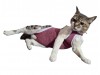 Roupa pós cirúrgica para Felinos